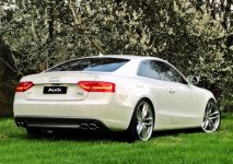 Audi Logo RHR Blossum.jpg