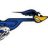 roadrunner